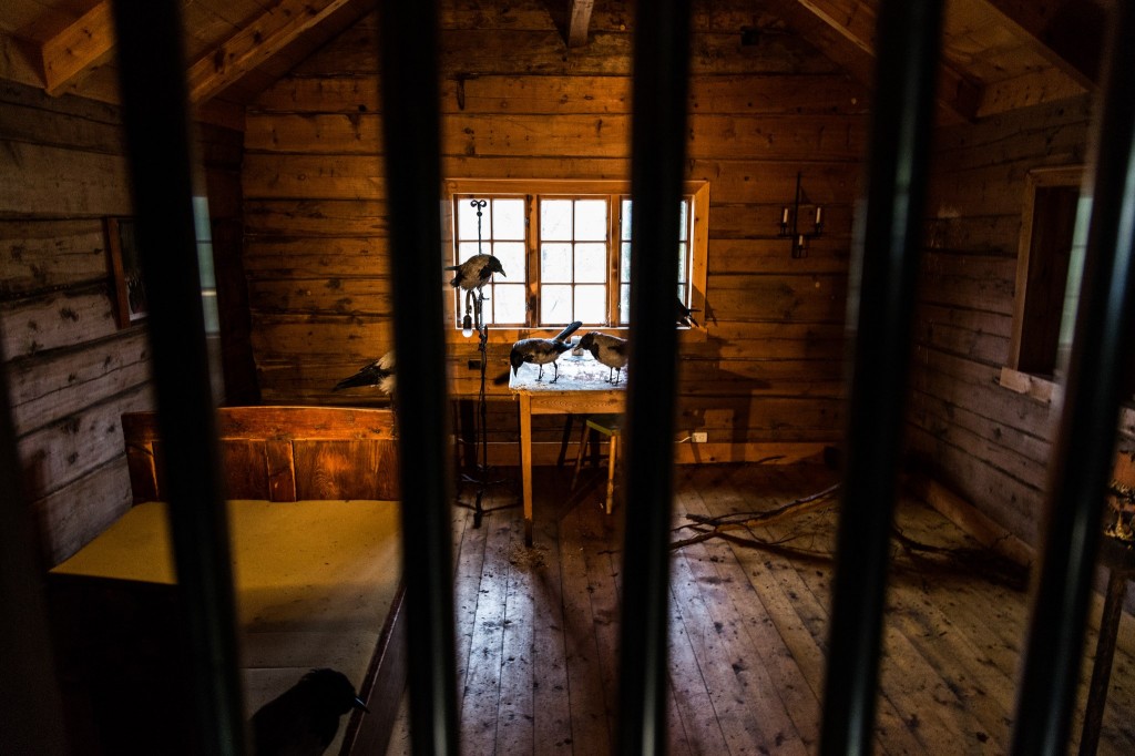 1273022_10153312989100327_2030975802_o