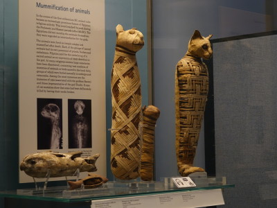 часть 2: Древняя Греция, Средний Восток, Египет (мумии)