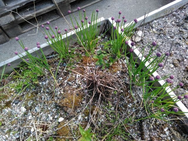 d-15-d-9-img_20160513_094804