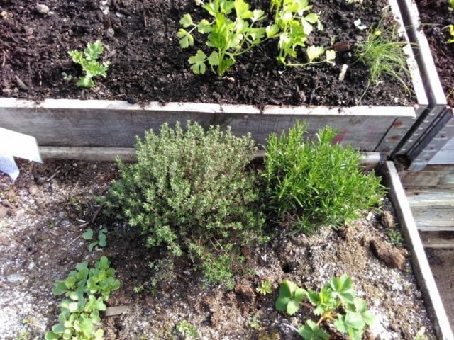 d-17-d-7-img_20160513_094845