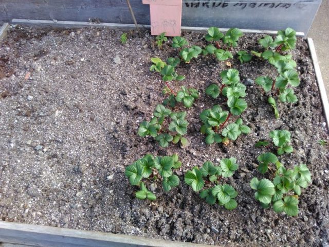 d-19-d-5-img_20160513_094913