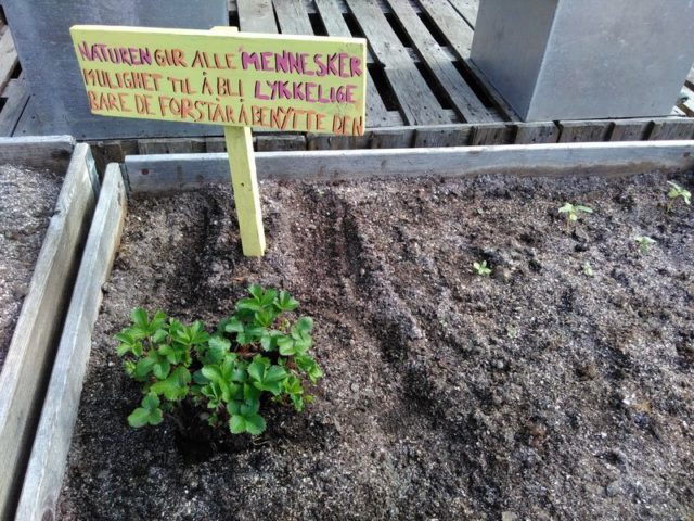 d-20-d-4-img_20160513_094929