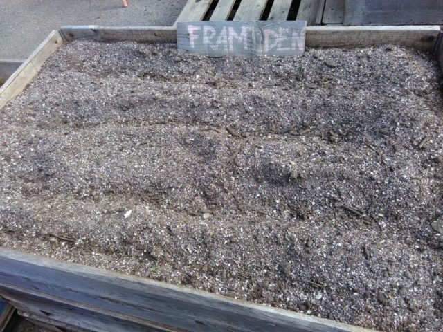 d-21-d-3-img_20160513_094943