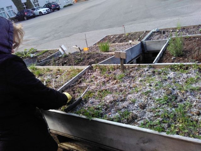 d-24-d-14-img_20160513_092705