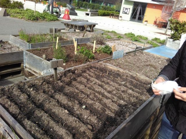 d-25-d-13-img_20160513_094248