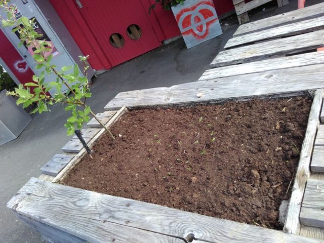 d-26-d-12-img_20160513_094723