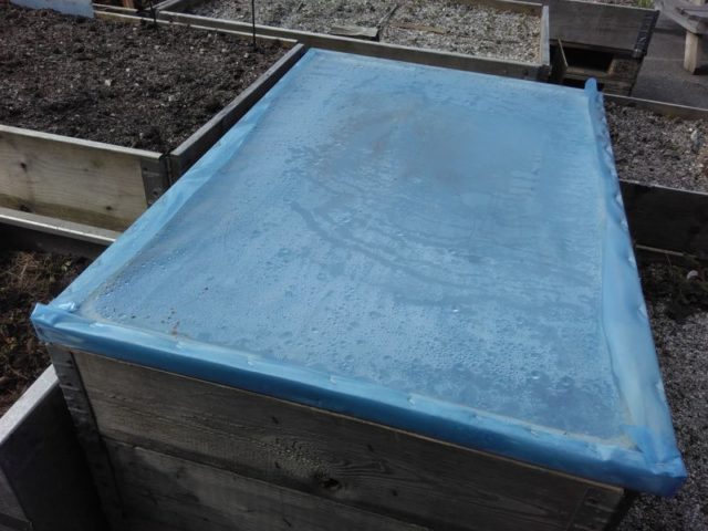 d-28-d-10-img_20160513_094734