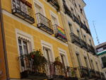 Многие вывешивают гей-флаги на окнах.