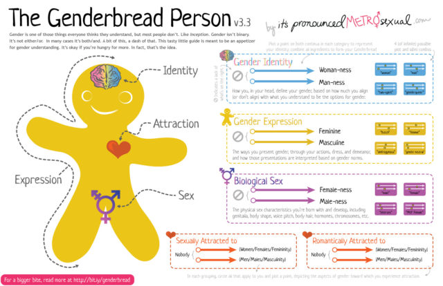 Genderbrehad-Person-3.3